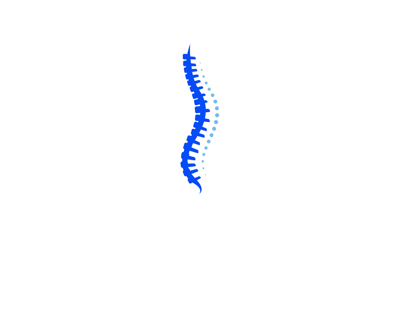 Primal Chiropractic and Fitness
